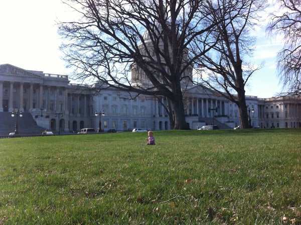 Rosie on the front lawn of the capitol