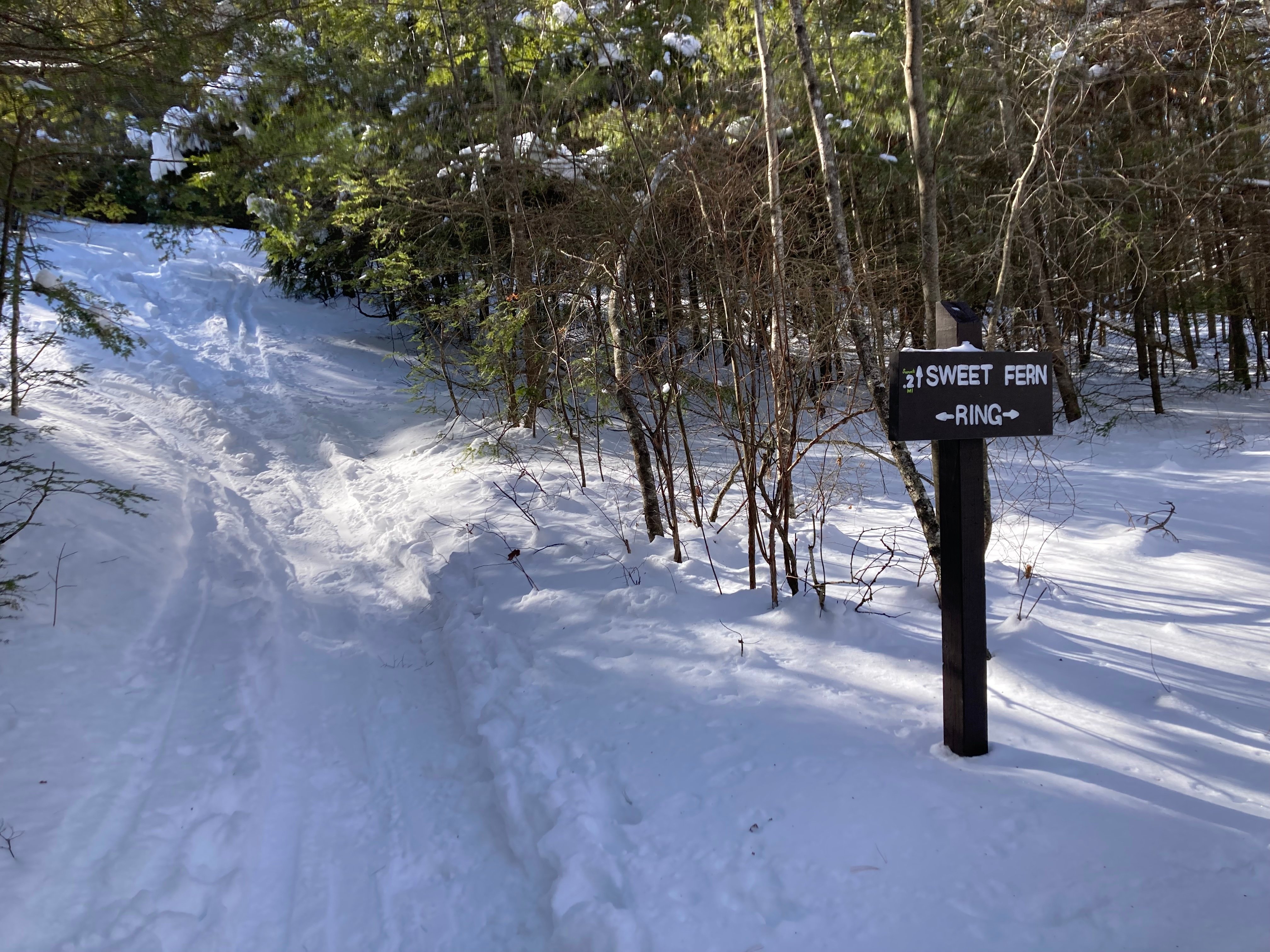 Climb back up on Sweet Fern