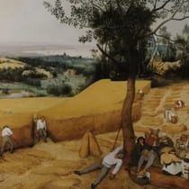 074c6296-3c12-4a3c-9097-567ac92907be_256x256-1