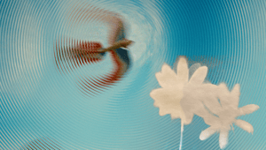 68f7ce9f97cfb63921a2d3cf_Calm Tech Header 2