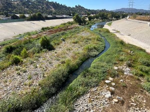 web_lariver_main