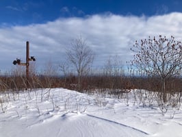 summit of mt agamenticus looking towards the ocean