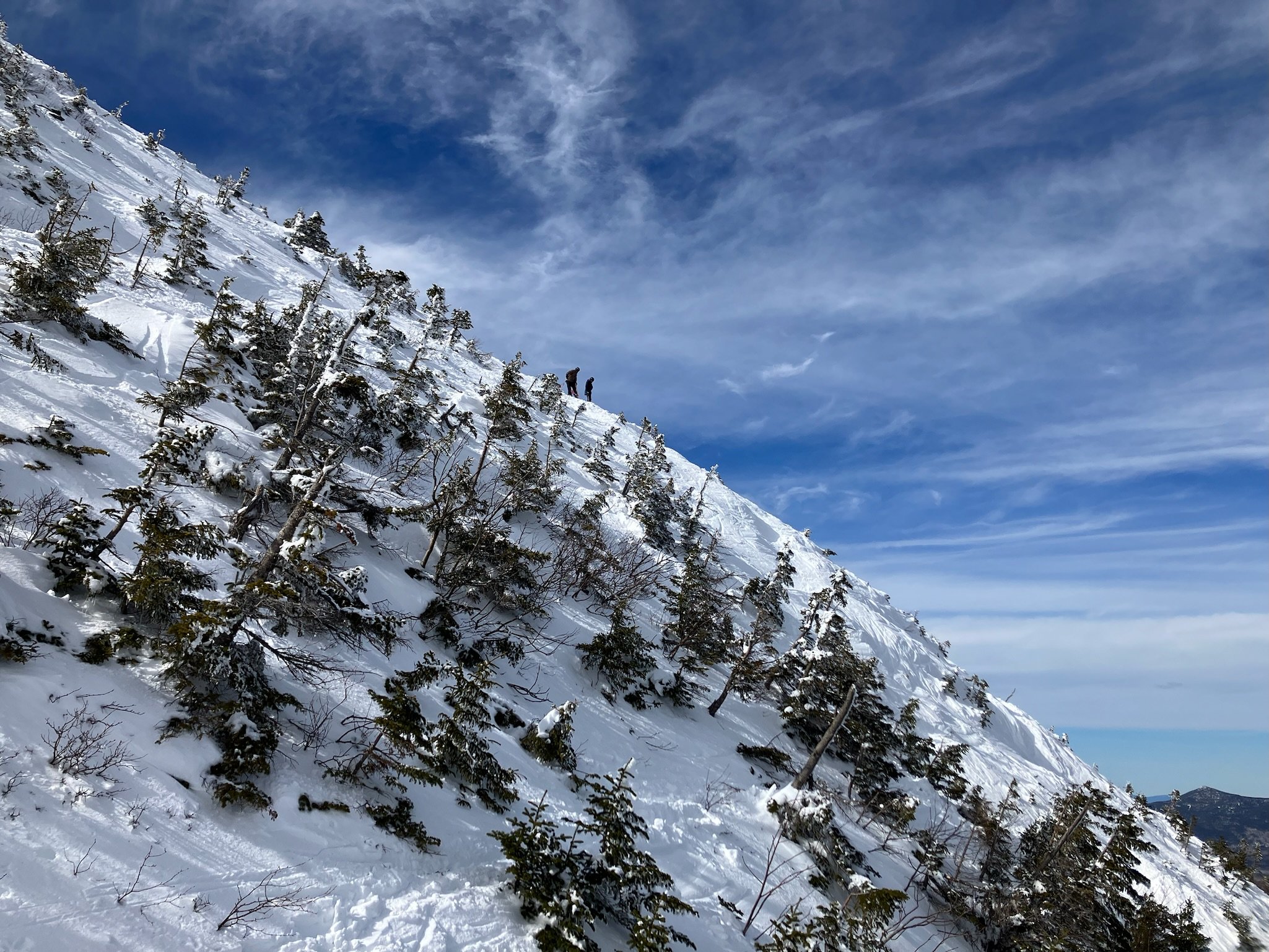 snowfields 2
